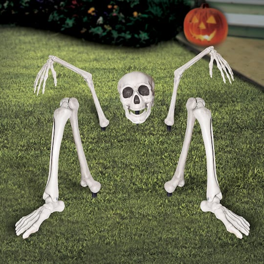 Ground Breaking Skeleton by Ashland® Michaels